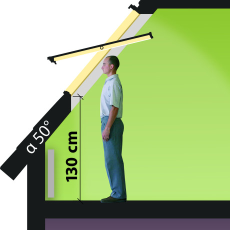 FAKRO GREENVIEW tuimeldakvenster FTW-V P20 AWMX 78x98