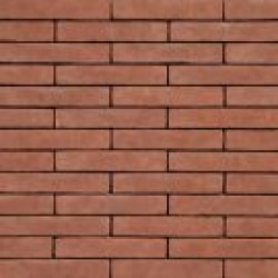 39+ Elignia Nordica Wit Pics