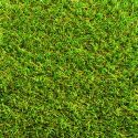 Namgrass Green Chantelle 30mm breedte 4m - lengte per 10cm