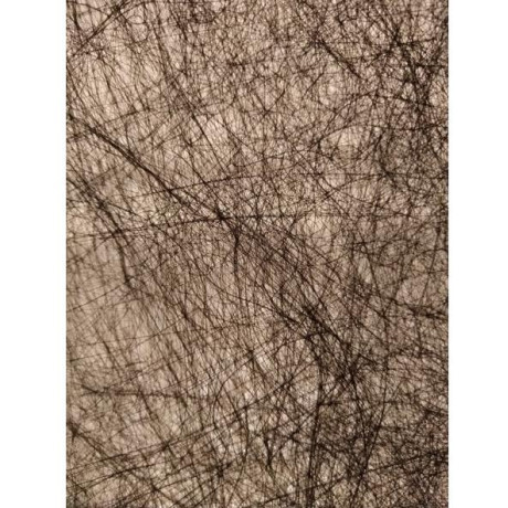 Filtex geotextiel anti-worteldoek rol 50x1,5m