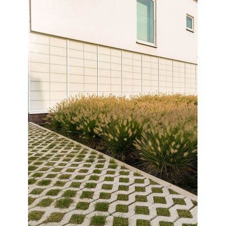 Grasdal beton 60x40x10cm (per stuk)