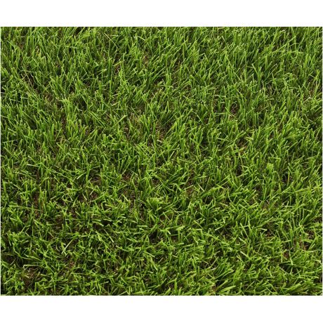 Exelgreen Stadium 40mm breedte 1m - lengte per 10cm