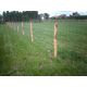 Schapendraad 1.0m x 50m 9/15 draad 1.9x2.5mm